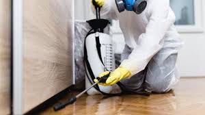 Best Organic or Eco-Friendly Pest Control  in Gladwin, MI