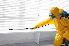 Best Termite Inspection and Treatment  in Gladwin, MI